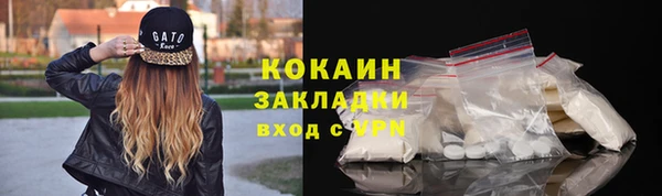 ПСИЛОЦИБИНОВЫЕ ГРИБЫ Сосновка